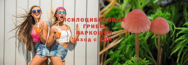 первитин Армянск