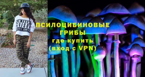 а пвп мука Аркадак