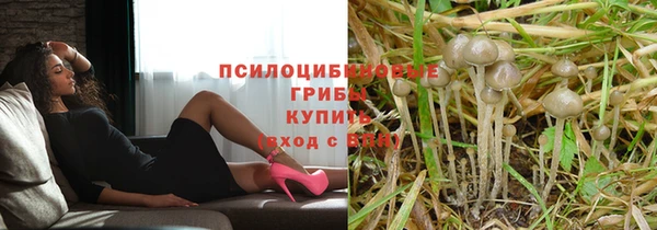 а пвп мука Аркадак