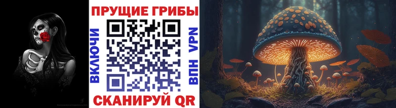 Псилоцибиновые грибы прущие грибы  наркота  Оса 