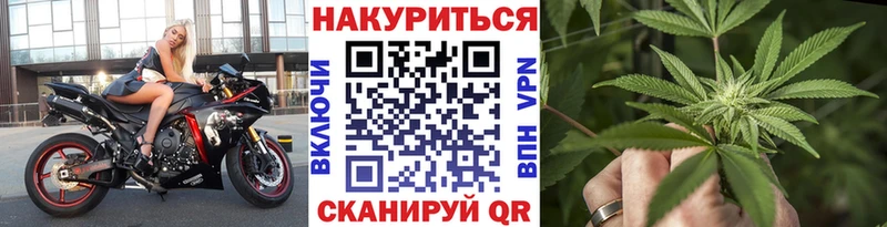 продажа наркотиков Оса Каннабис Amnesia
